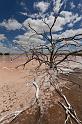 090 Quairading, pink lake